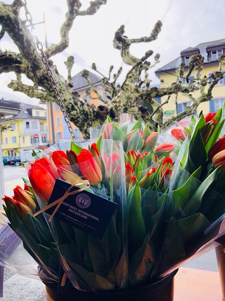 Tulipes pour une bonne cause